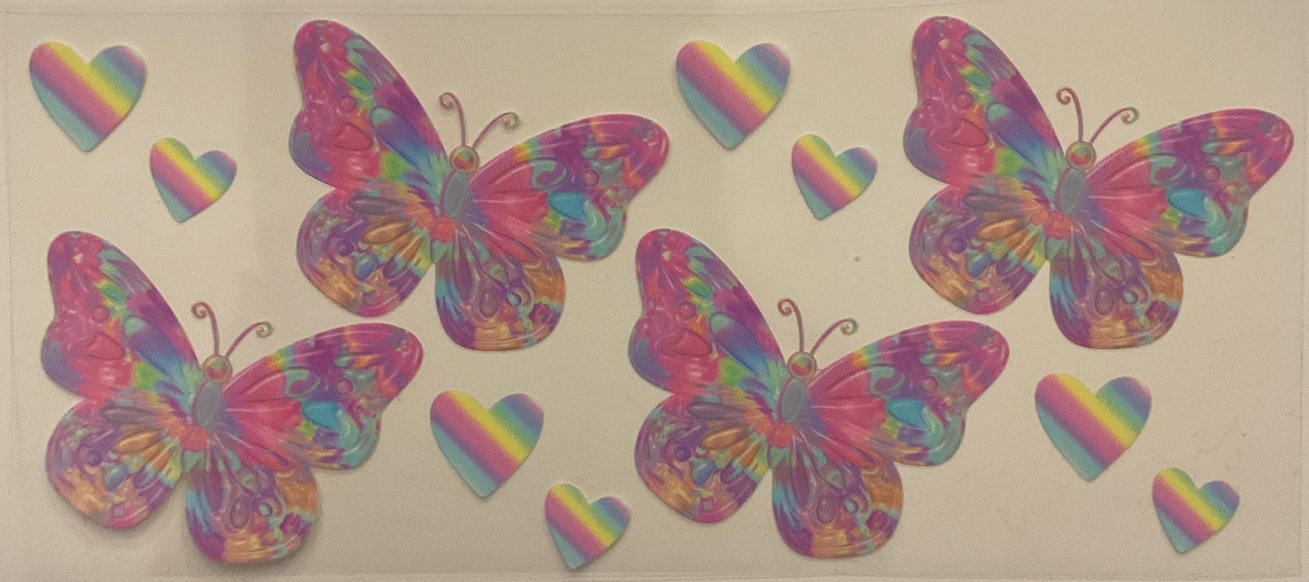 Rainbow Butterfly’s
