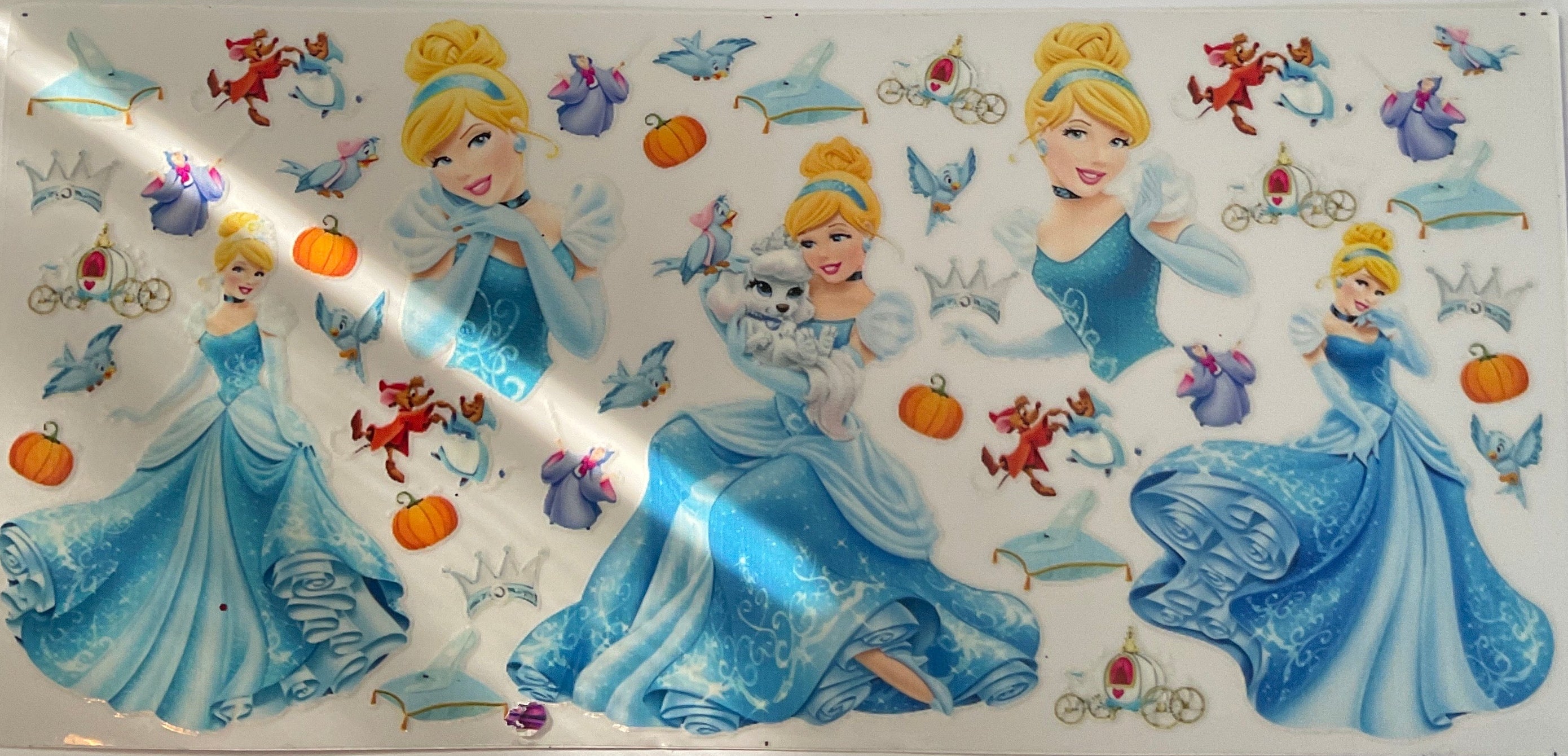 DP196- Cinderella
