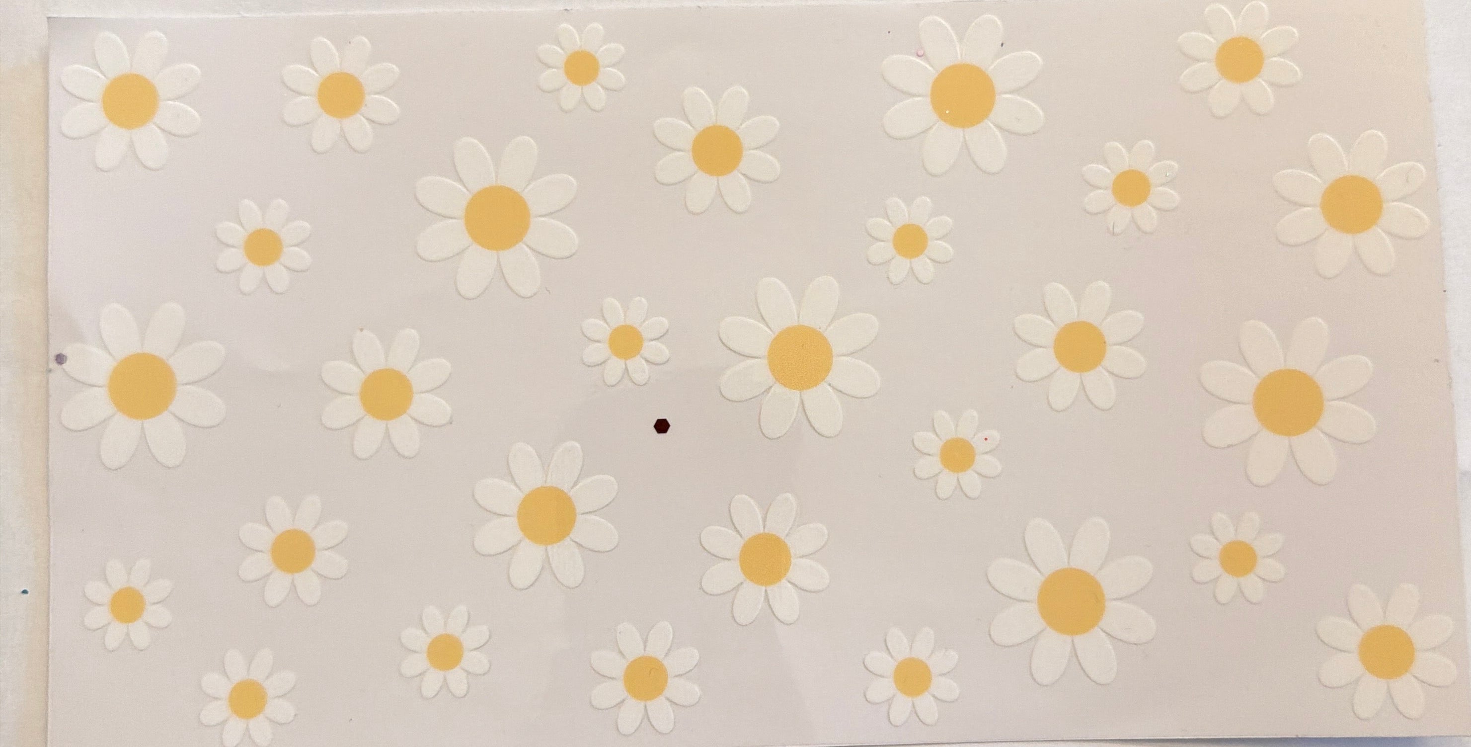 W19 - Daises- Flower