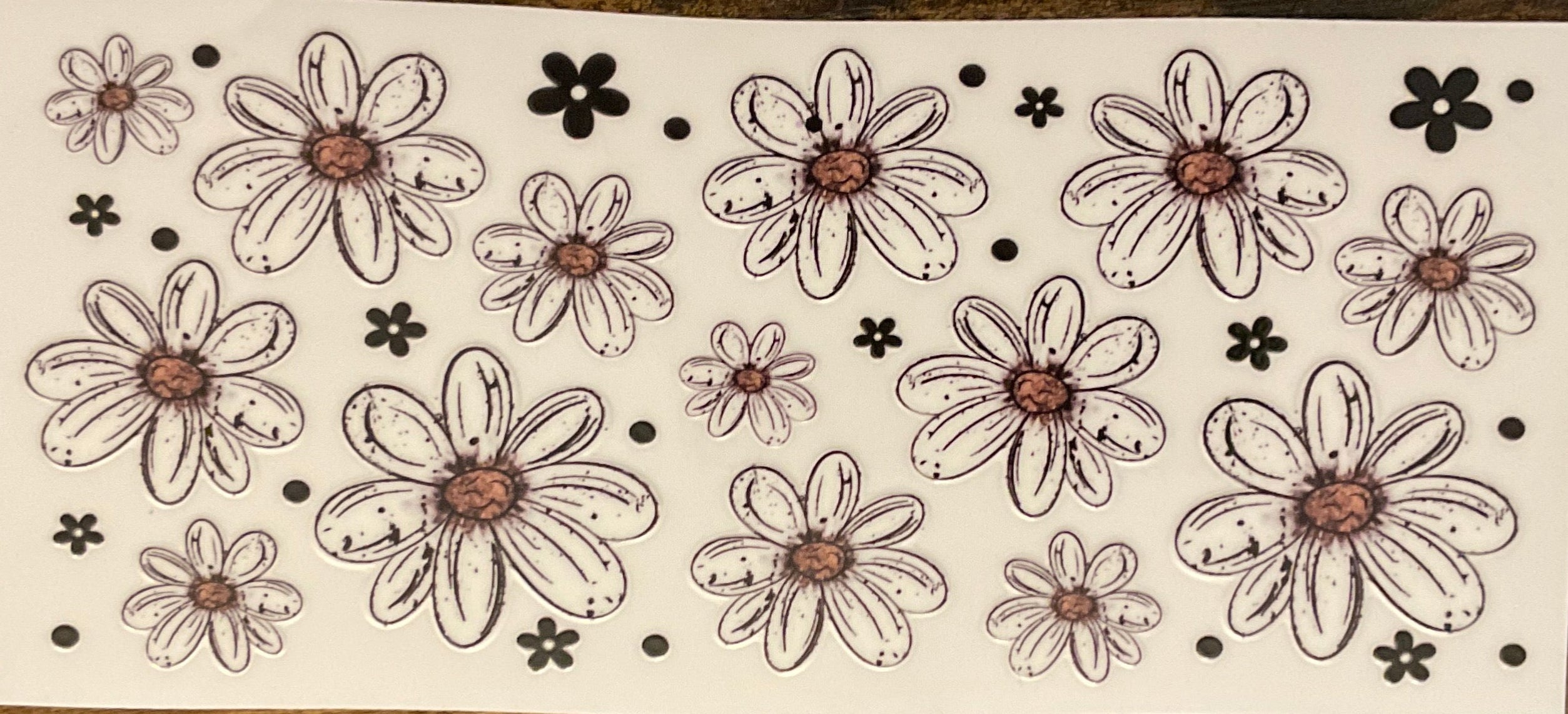 W18- Daises- Flower