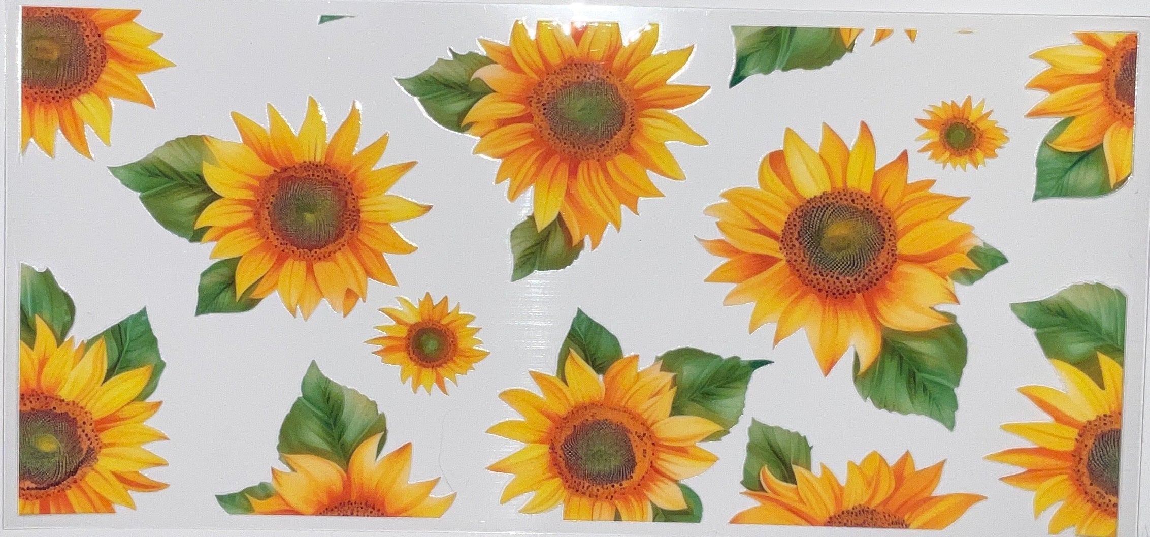 F500- Sunflower
