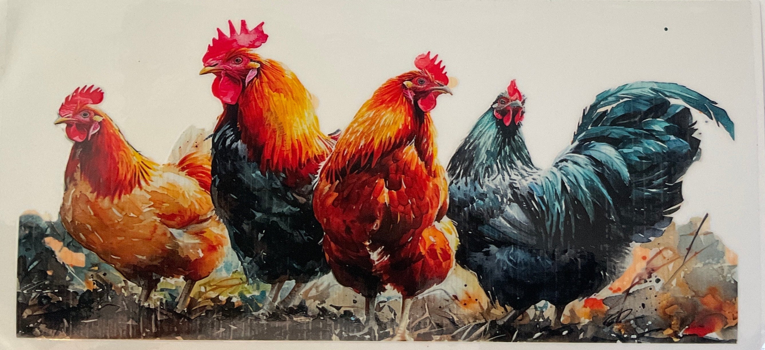 F211- Chicken