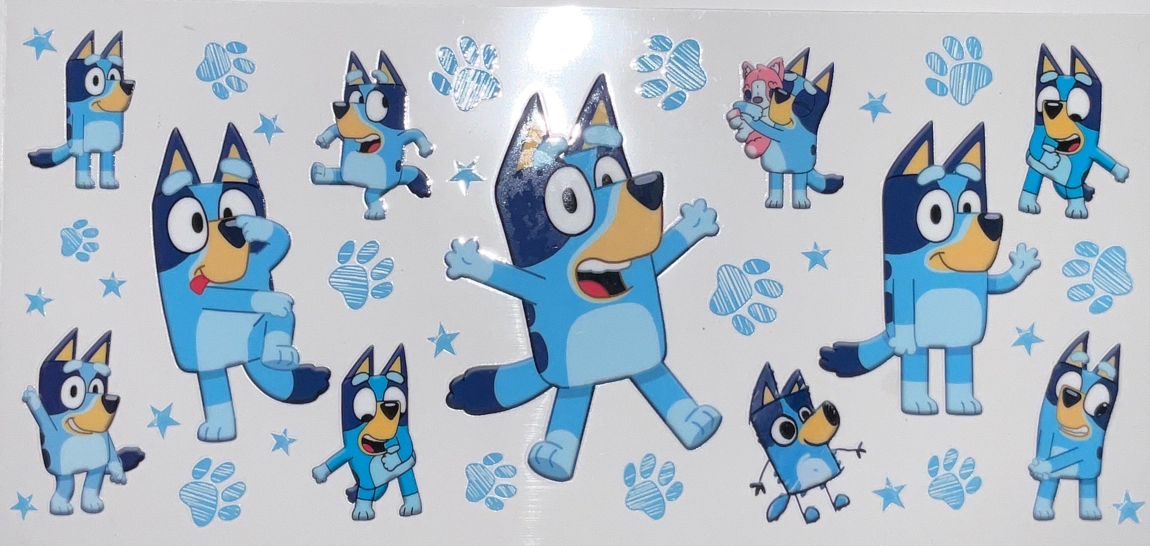 TV507- Bluey