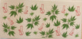 Garden6-G6