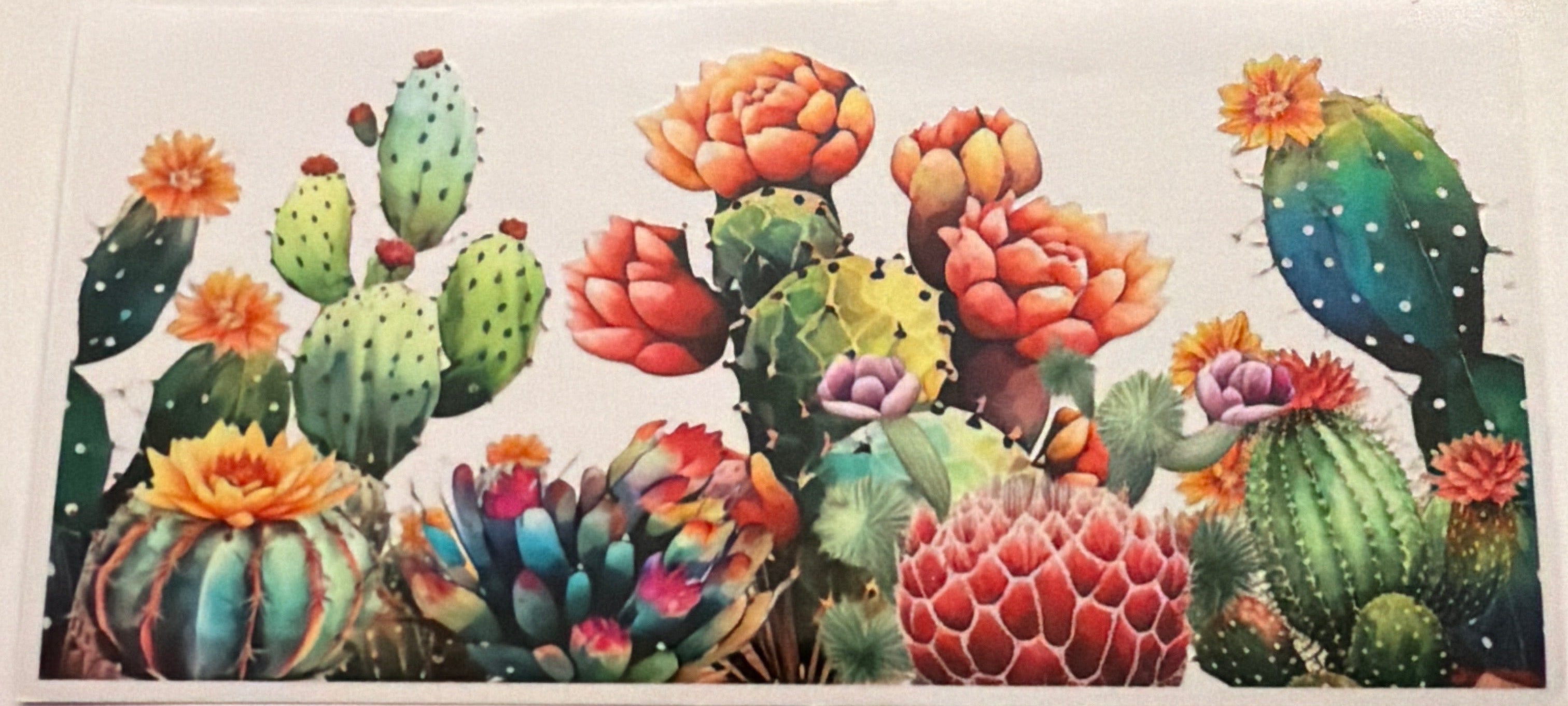 FLO286- Cactus & Flowera