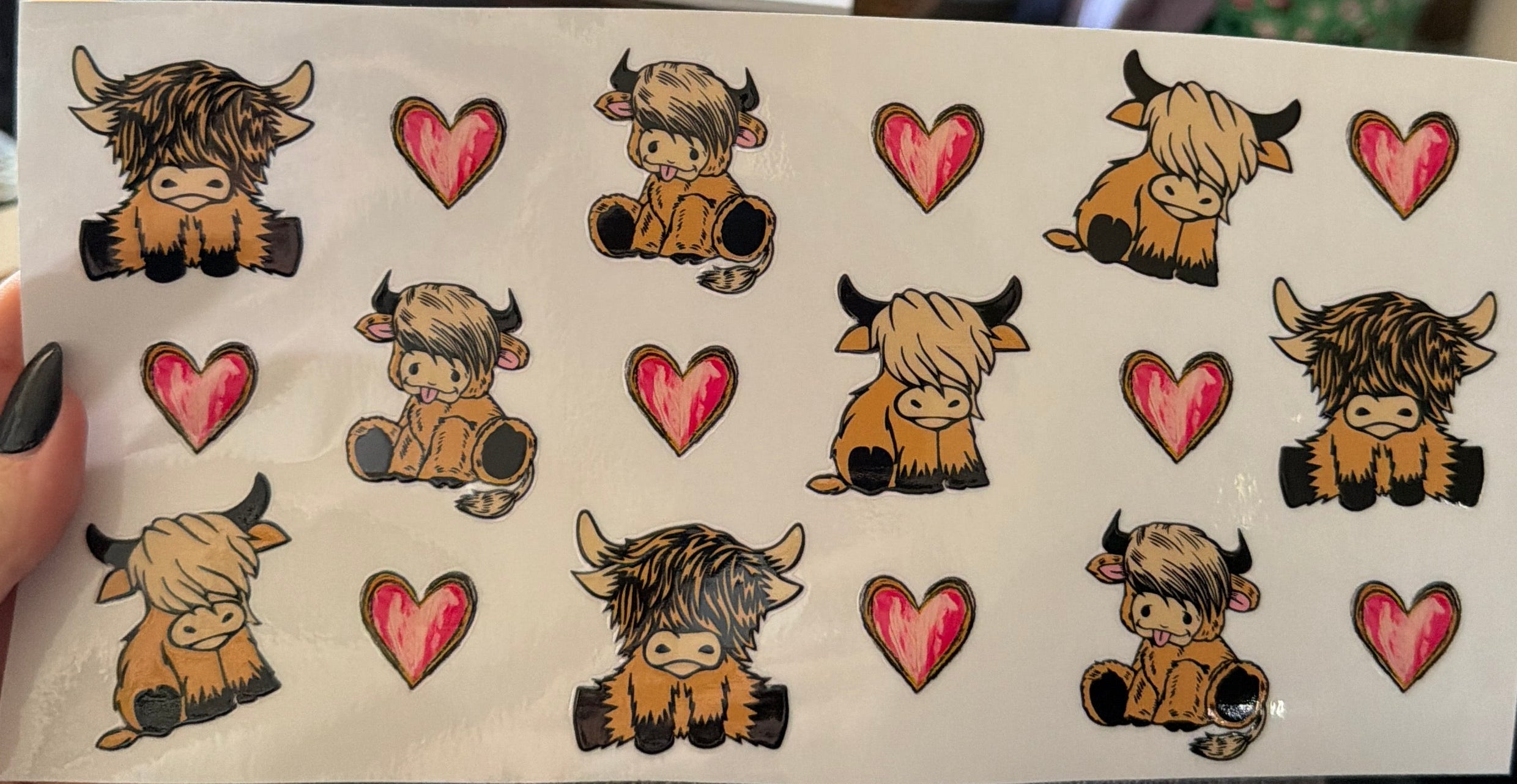 Cup Decal-Highland Cows