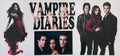 VD501- Vampire Diaries