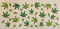 Garden4-G4