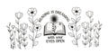 B6-Book Decal