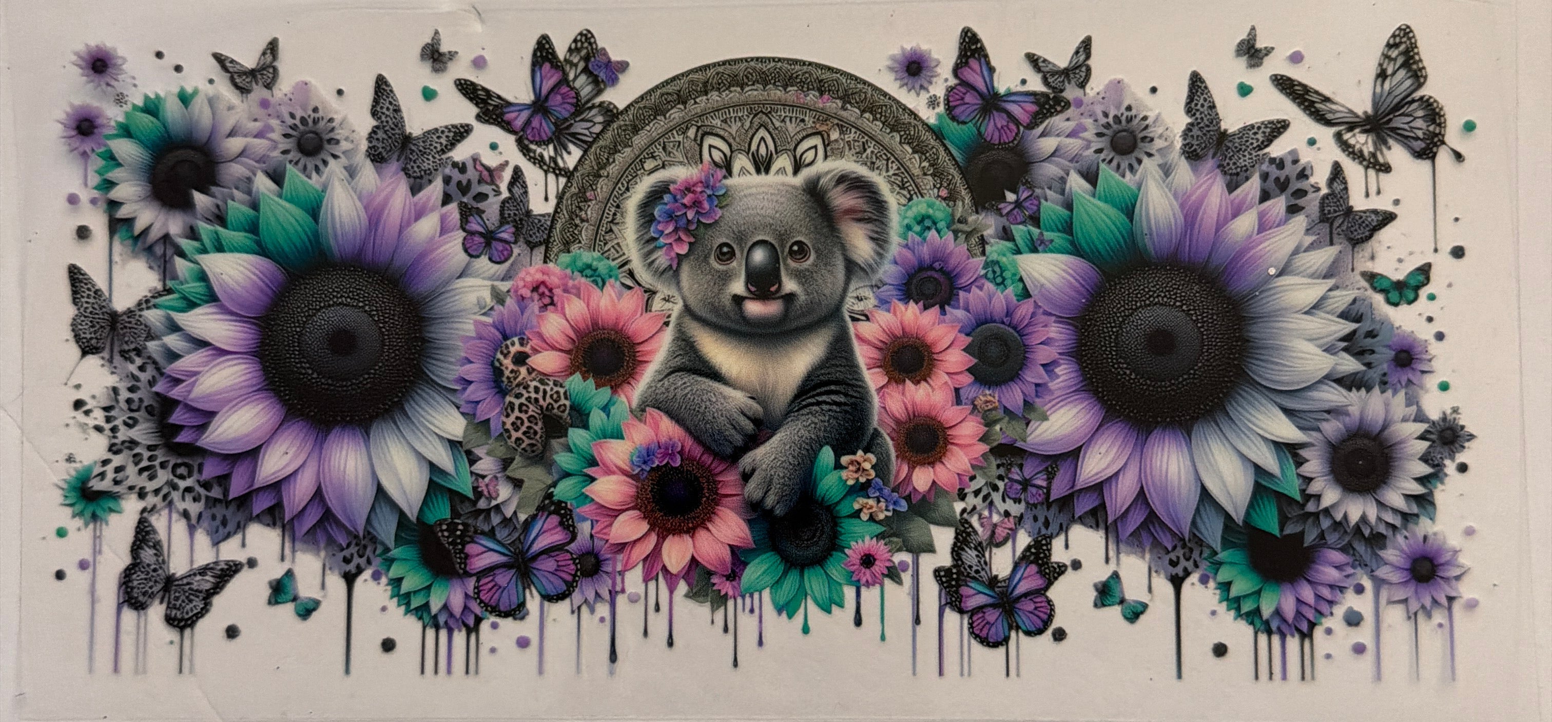 AD1 Koala