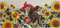 F202- Cow