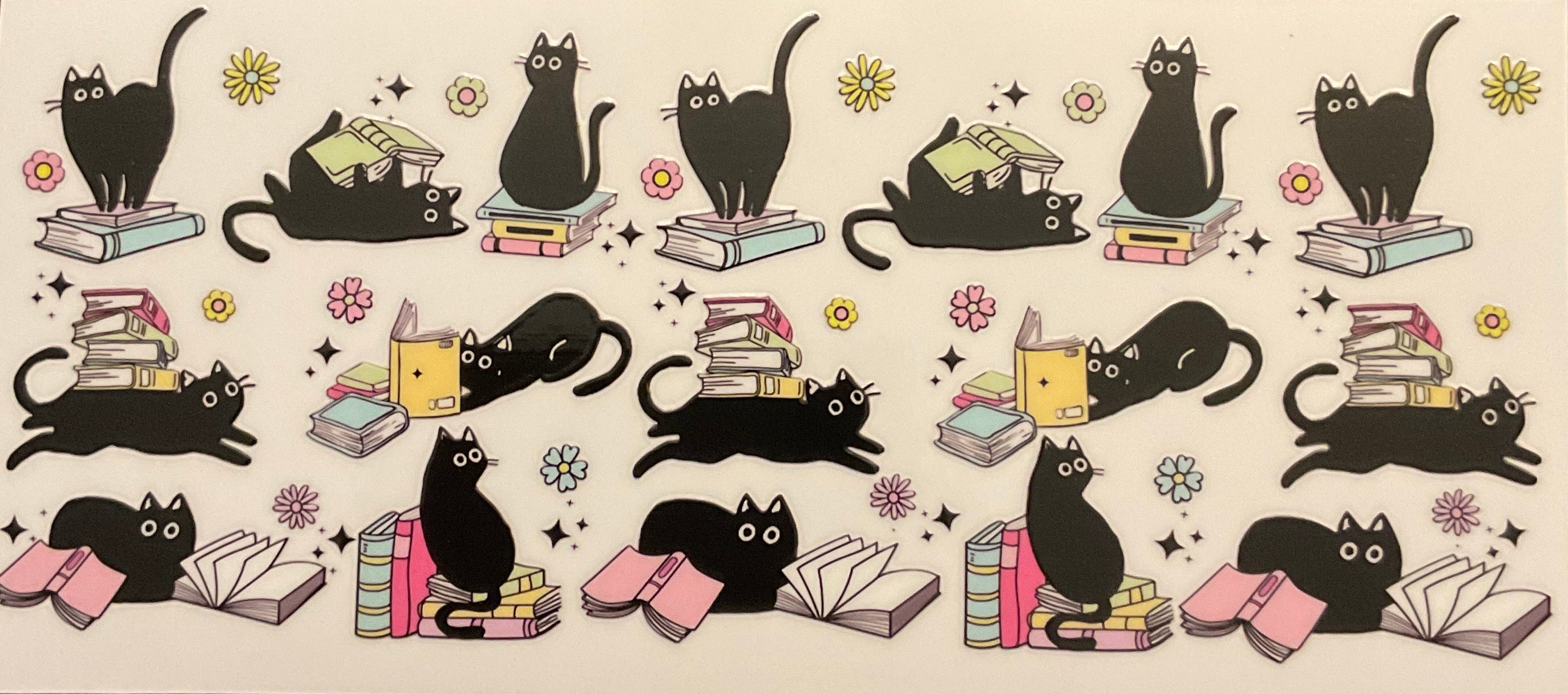 W14- Cats & Books