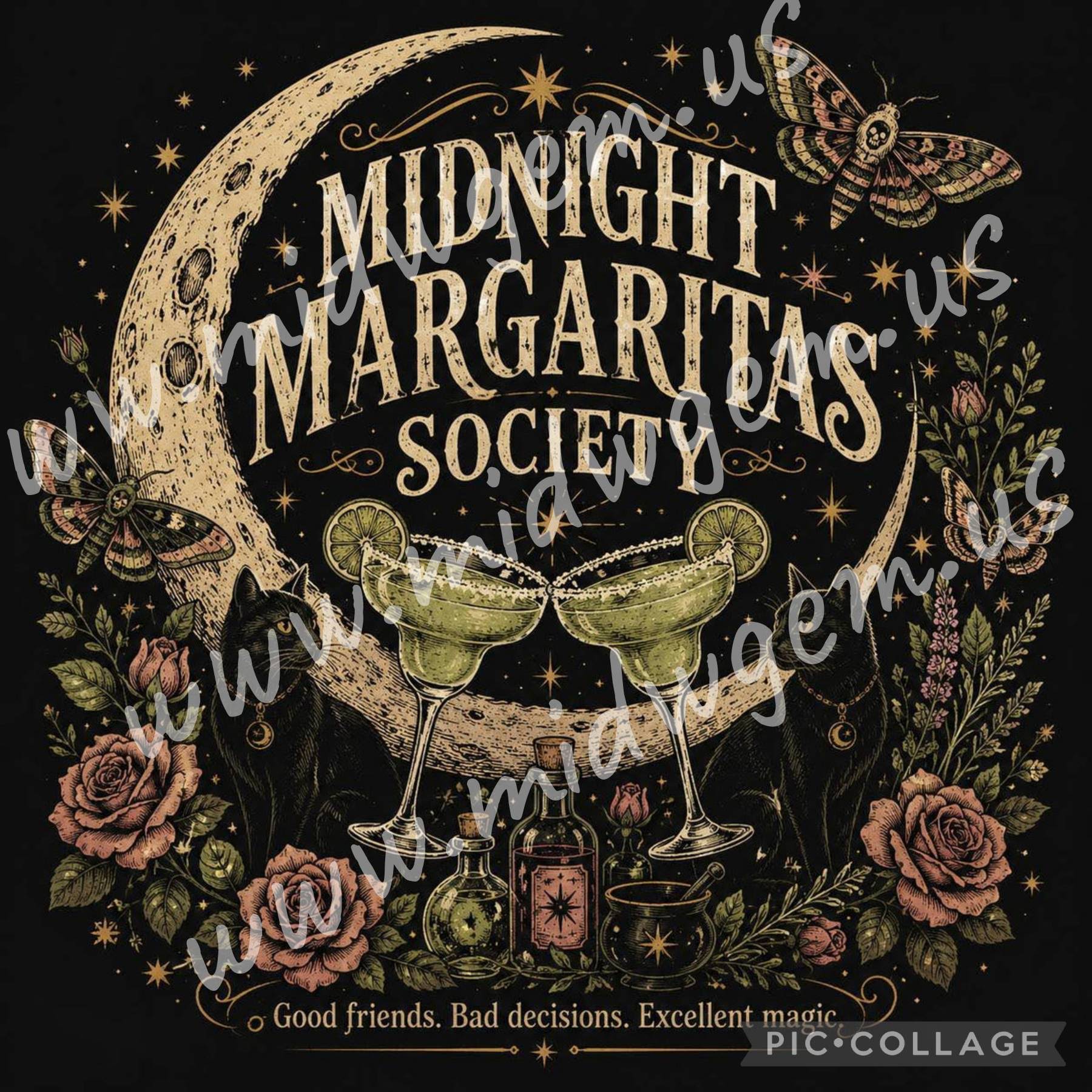 Pre Order Practical Magic